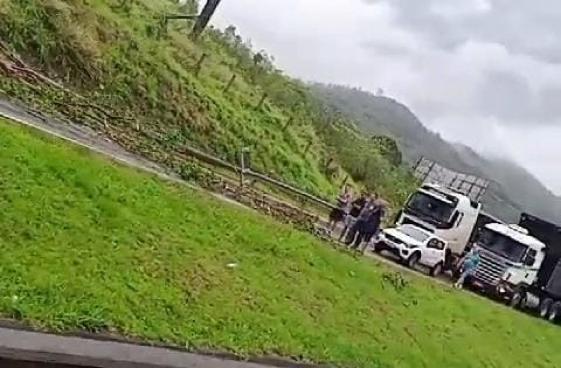 Árvore cai na BR-101 em Jaguaruna e interrompe o trânsito no sentido Sul