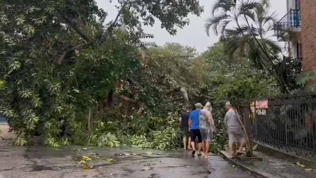 Chuva e vento matam 3, afetam transportes e derrubam árvores no RJ
