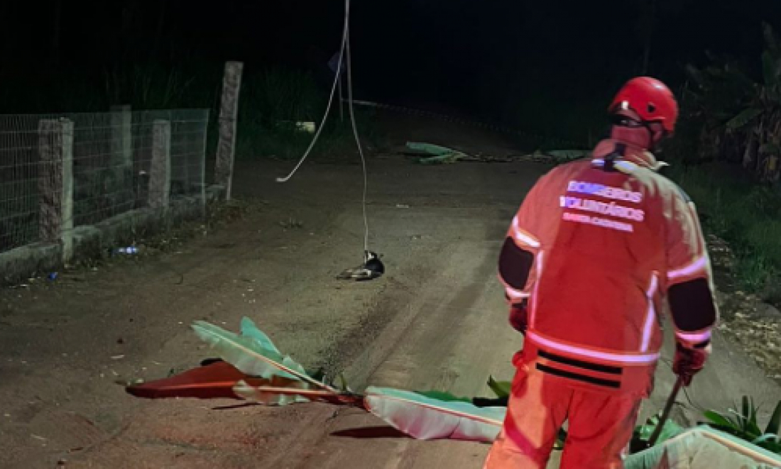 Cachorro morre eletrocutado após queda de fios de alta tensão com temporal em Sangão