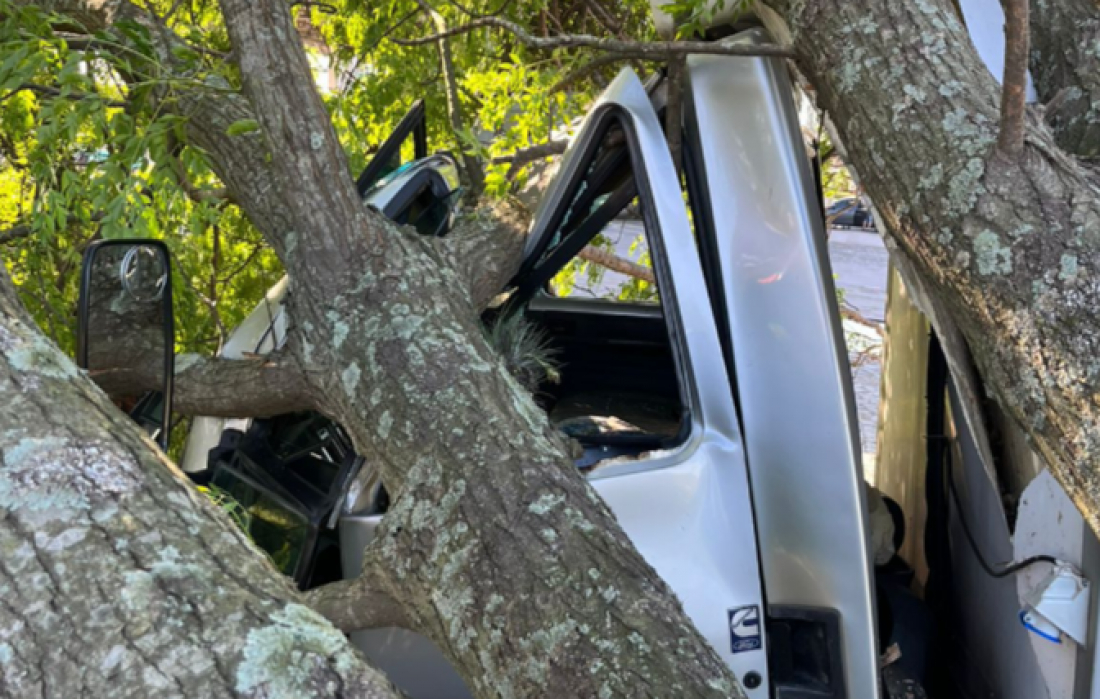 Árvore cai sobre caminhão enquanto motorista estava dentro da cabine, em Jaguaruna