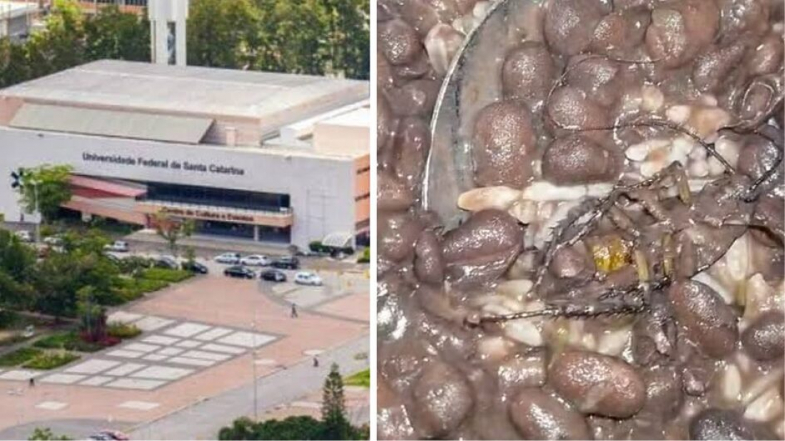 Servidor da UFSC é demitido após caso de barata em refeição no RU