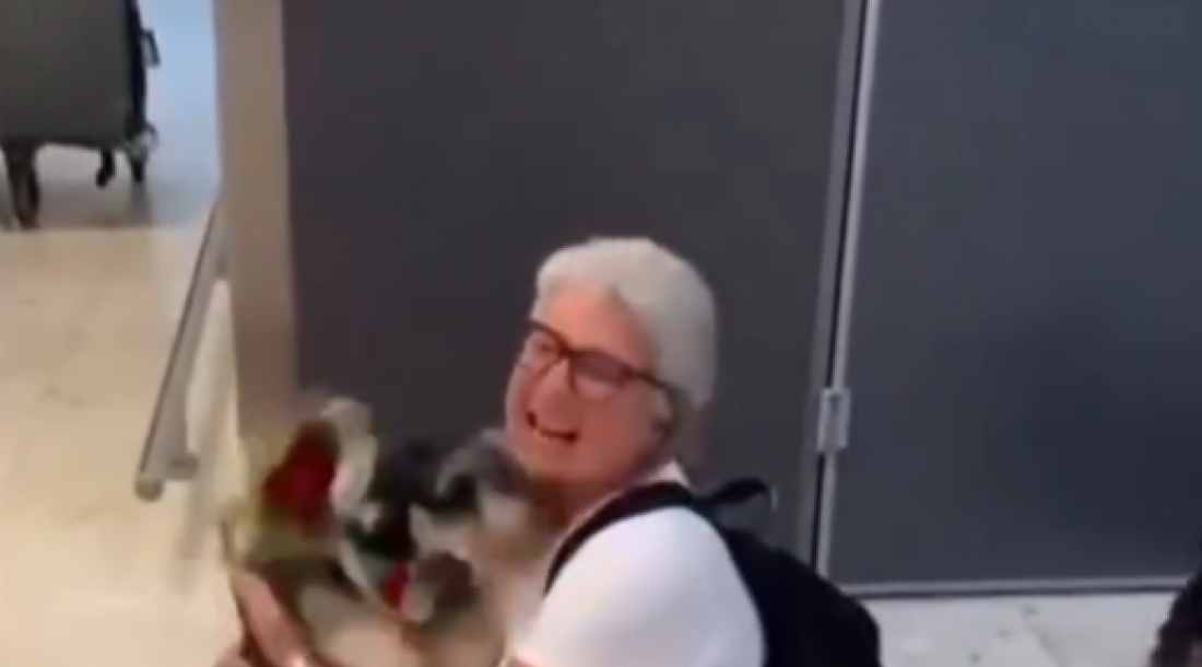Mulher chega ao aeroporto e é recepcionada por seus cães; vídeo viraliza