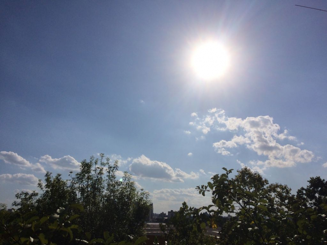 Domingo de sol em SC deve anteceder mudança no tempo com chegada de frente fria 