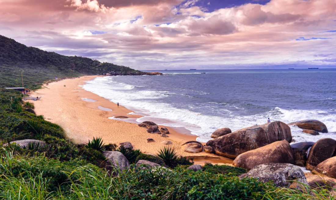 Praia intocada de SC é arrematada em leilão por R$ 31,5 milhões