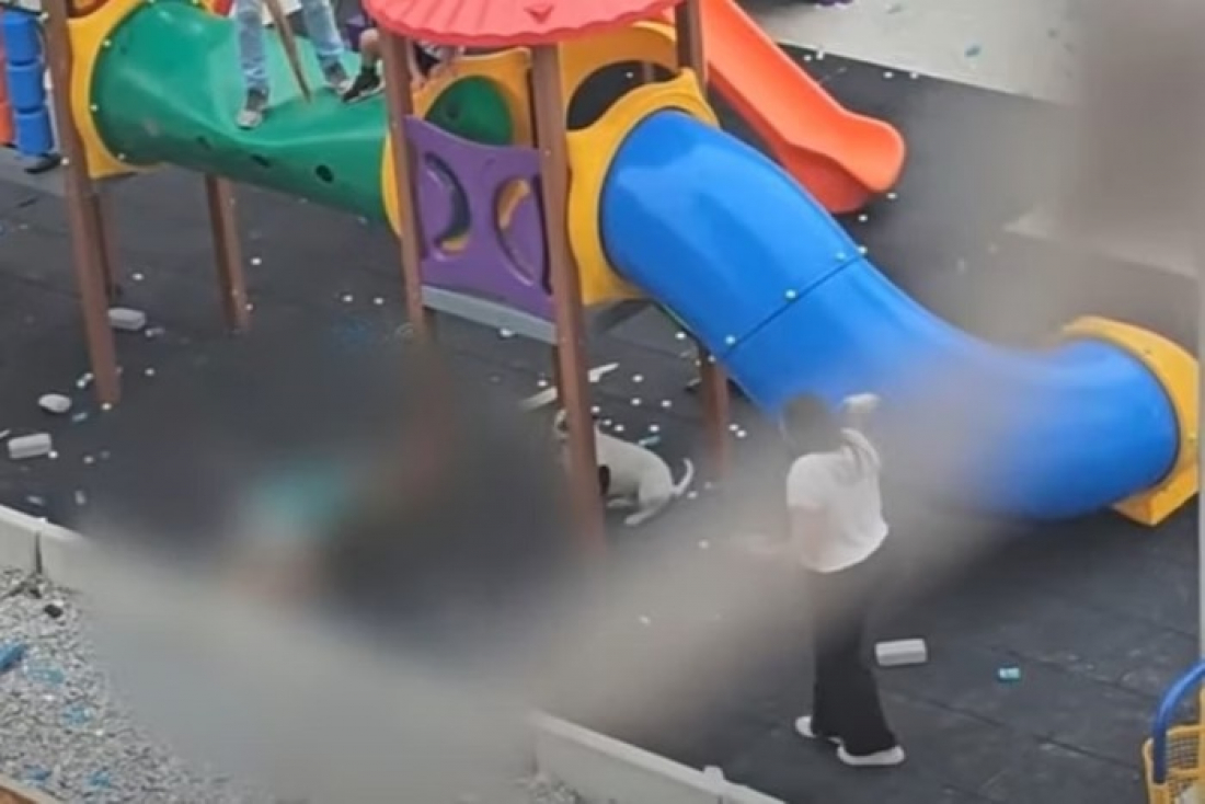 Sem dono por perto, pit-bulls atacam duas crianças em parquinho de SP