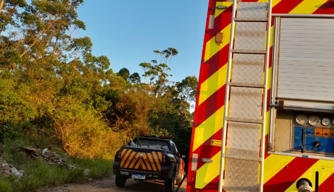 (Vídeo) Incêndio em Jaguaruna atinge mais de 10 hectares de eucaliptos e mata nativa