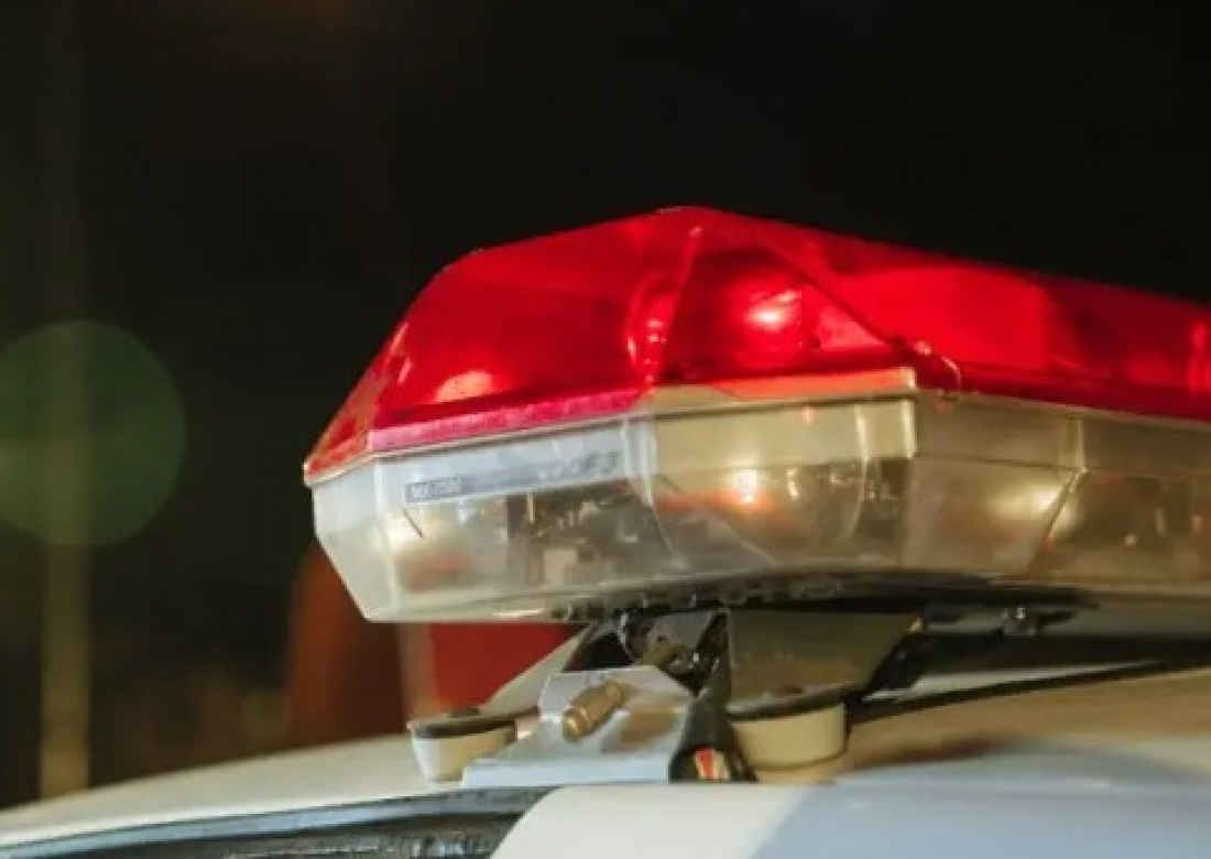 Idoso é preso após atropelar e matar cachorro no Sul de SC