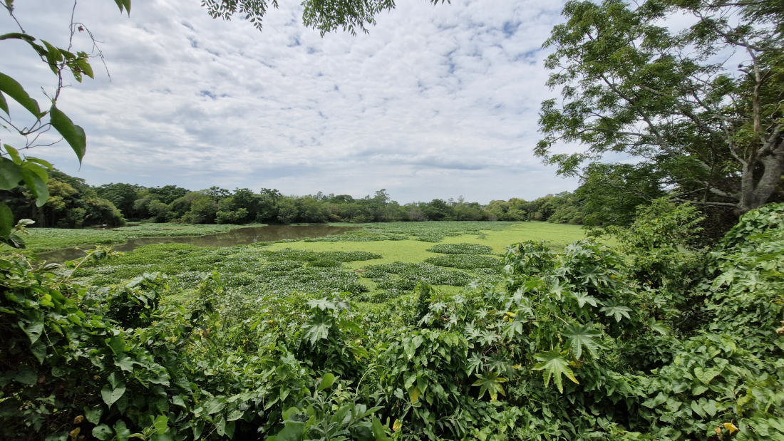 Rio da Madre deve ganhar ponte no bairro Campestre