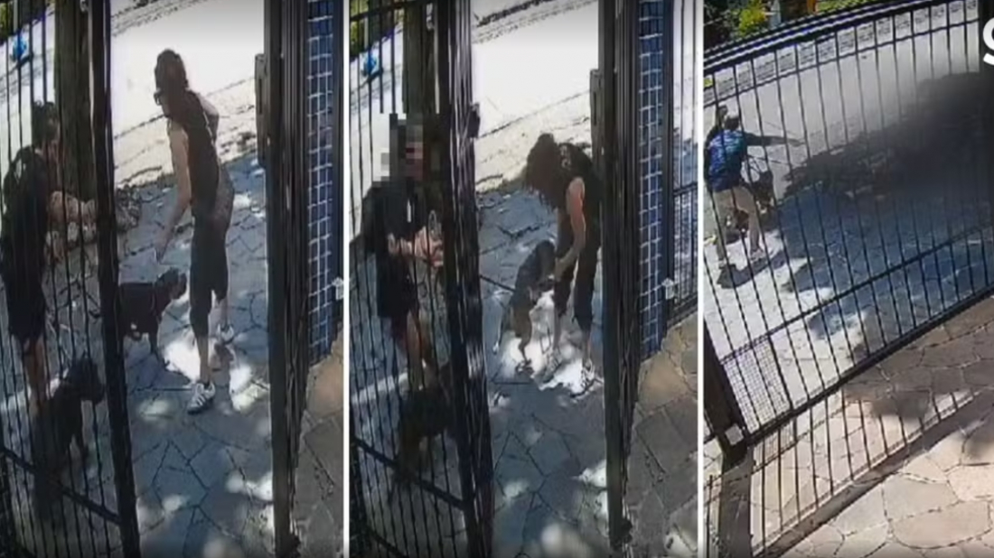 'Ele me puxou e me arrastou', relata mulher atacada por cachorro em Porto Alegre; veja vídeo