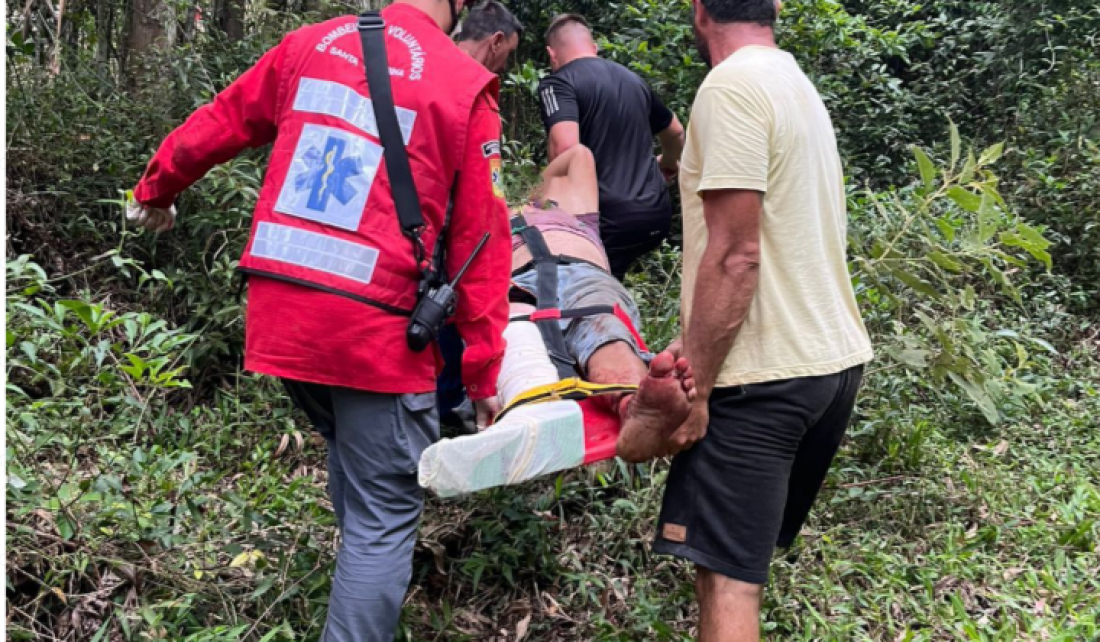 Treze de Maio: Homem é atingido por árvore enquanto fazia serviço e tem hemorragia