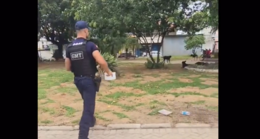 (Vídeo) Gentileza nas ruas: Guardas Municipais de Tubarão oferecem ração e água a cães abandonados