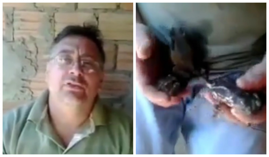 (Vídeo) Em SC: Morador de Jacinto Machado chama atenção com coleção de sapos com nomes humanos