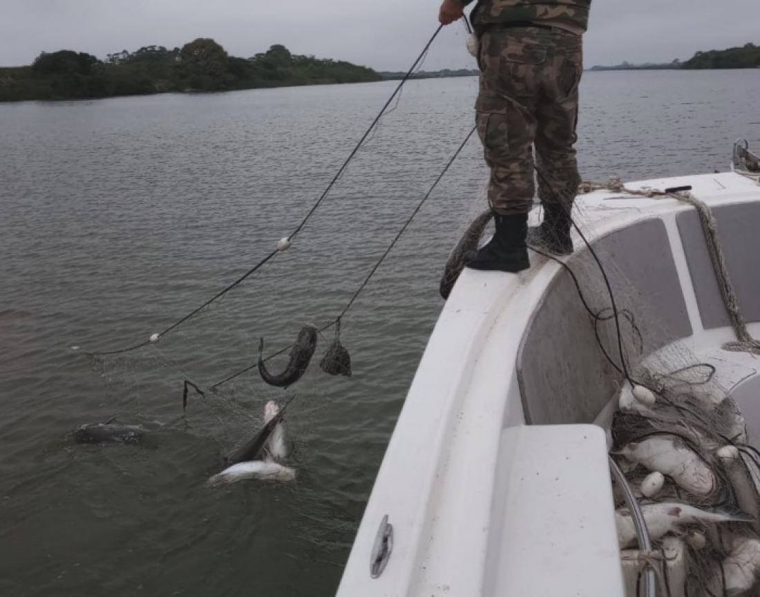 Operação contra pesca predatória apreende 120 kg de bagre branco no Rio Tubarão