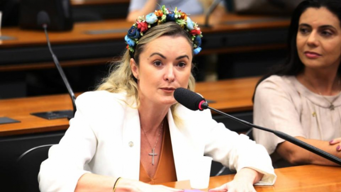 Julia Zanatta presidirá Frente Parlamentar em Defesa da Liberdade de Expressão
