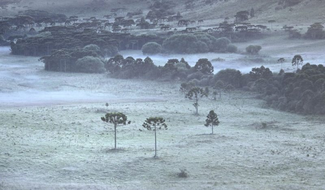 FOTOS: Serra de SC registra geada e temperaturas de 3°C em pleno verão