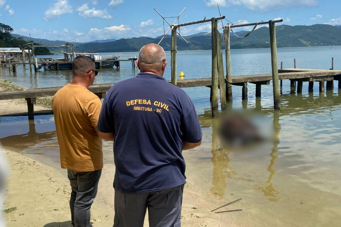 Vaca decapitada é encontrada às margens de lagoa em Imbituba