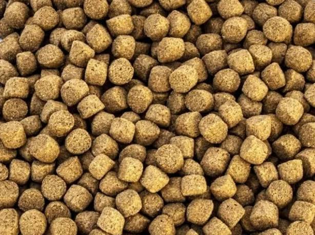 Bebê de um 1 ano morre após engasgar com ração de cachorro em Laguna