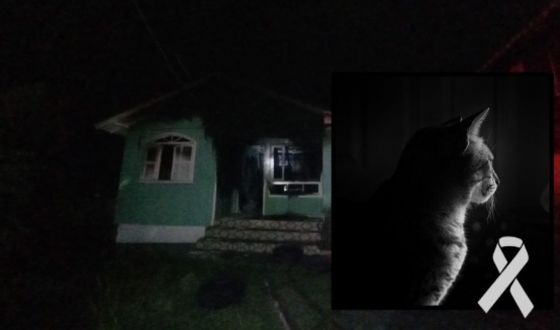 Incêndio em veículo se espalha para residência e mata dois gatos em Tubarão