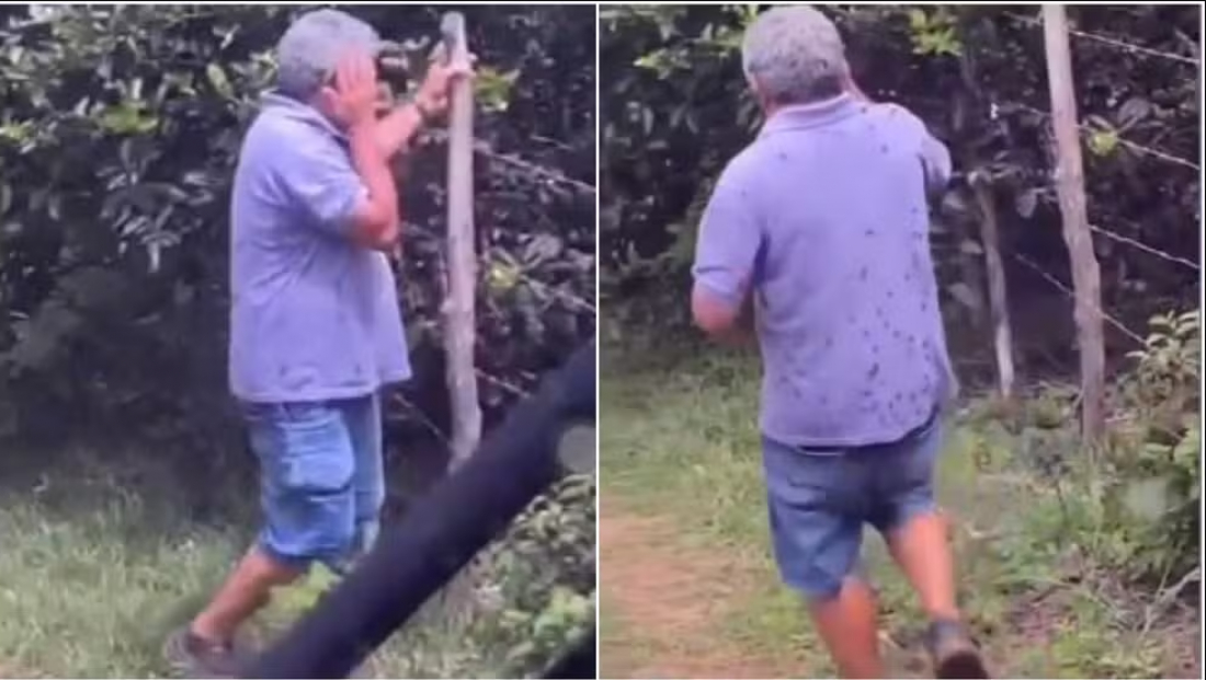 (Vídeo) No país: Ex-vereador morre atacado por abelhas no interior do Ceará