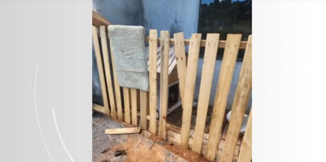 Cão pitbull ataca 3 pessoas e é baleado após avançar em policial em SC