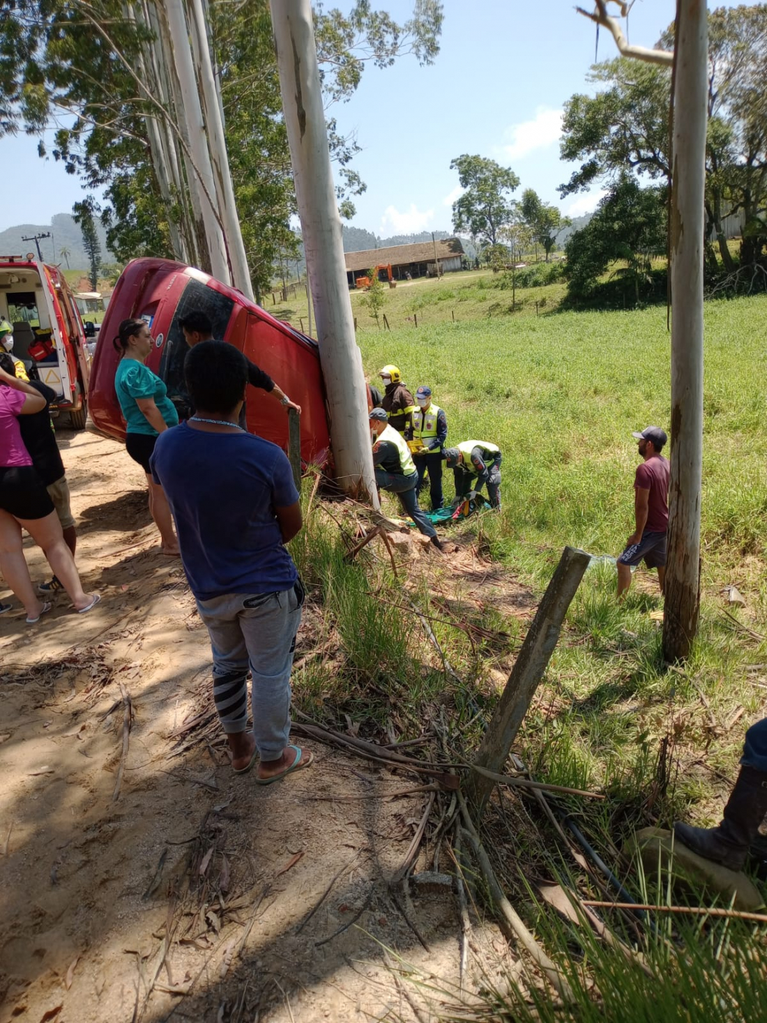 Homem sofre corte no crânio após saída de pista e colisão com árvore em Imaruí