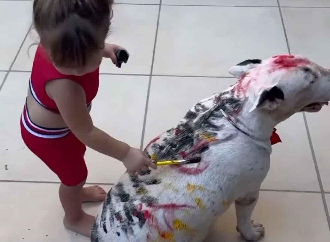 (VÍDEO) Crianças pintam cadela da família com tinta enquanto mãe realiza tarefas