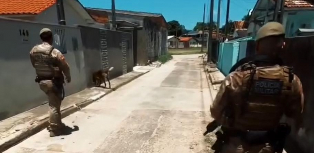 Polícia Militar apreende drogas com auxílio de cães farejadores em Tubarão