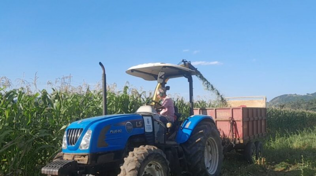 Secretaria de Agricultura disponibiliza equipamentos para apoio a produtores de milho