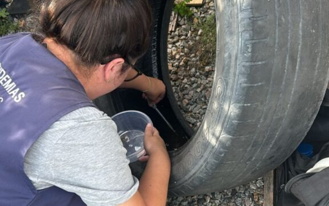 Capivari de Baixo detecta primeiro foco do mosquito Aedes aegypti em 2025