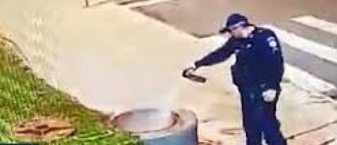 Cobre no buraco, pimenta no ar: ladrões de fios acabam detidos no DF e vídeo viraliza 