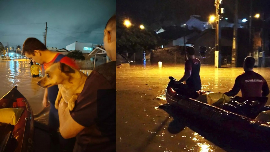 Idosa e cachorro são resgatados de casa após alagamento em SC