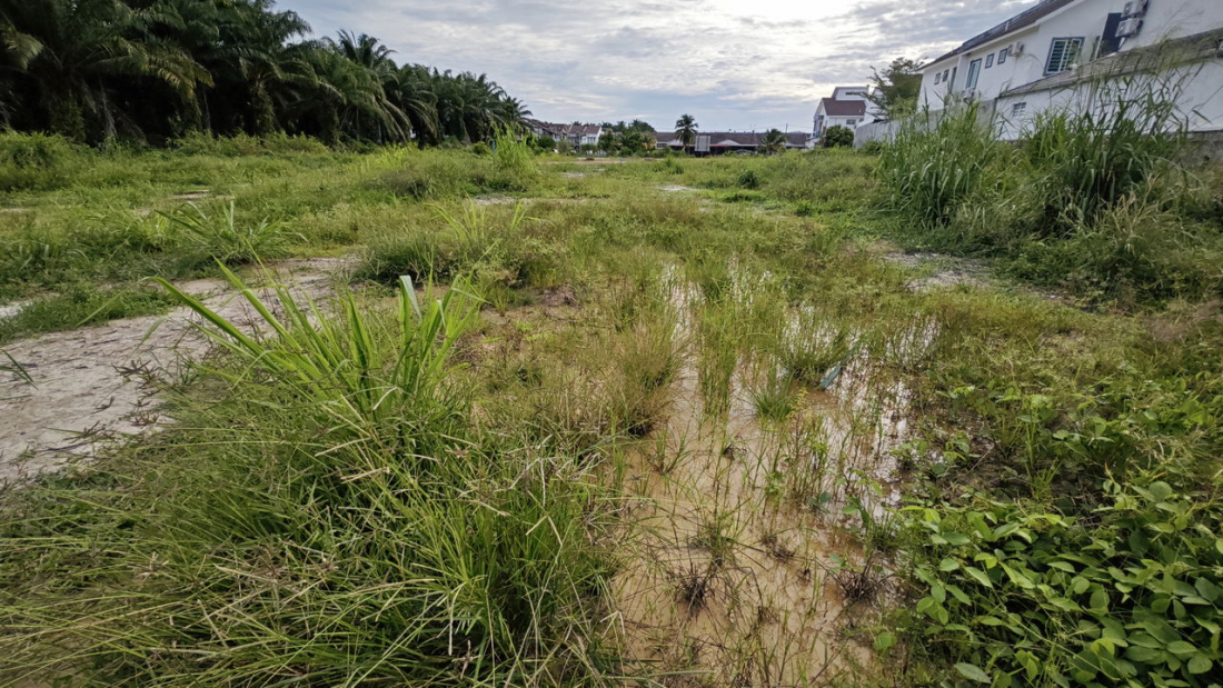 Em SC: Recém-nascido é encontrado abandonado em terreno baldio por vizinha após cachorro latir