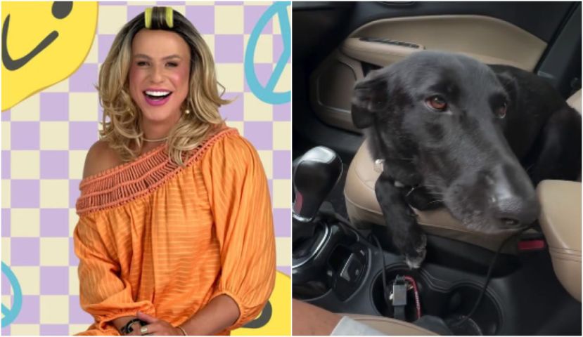 (Vídeo) Influenciadora Hermídia, de Braço do Norte, viraliza nas redes com 'sermão' para cadela Margareth