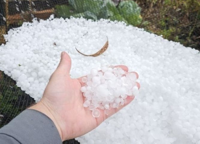 Forte chuva de granizo chega a Bom Jardim da Serra e afeta pomares de maçã