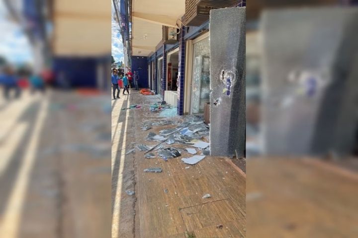 Em surto após morte de cadela, tutor destrói pet shop a marteladas