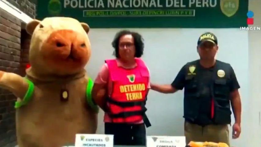 Mundo: policial vestido de capivara prende suspeito de tráfico no Peru