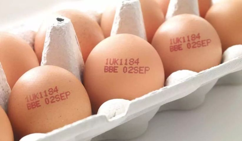 Na casca do ovo: data de validade em ovos será obrigatória a partir de março