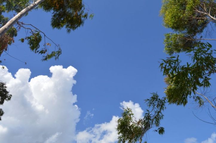 Calorão, temporais e riscos à saúde em SC: confira previsão para o começo da semana