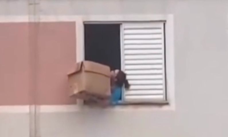 VÍDEO: moradora resgata cachorro com caixa de papelão em condomínio de Guarulhos