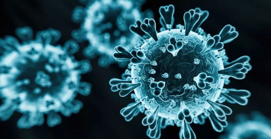 Nova pandemia? Veja tudo o que se sabe sobre o novo coronavírus na China