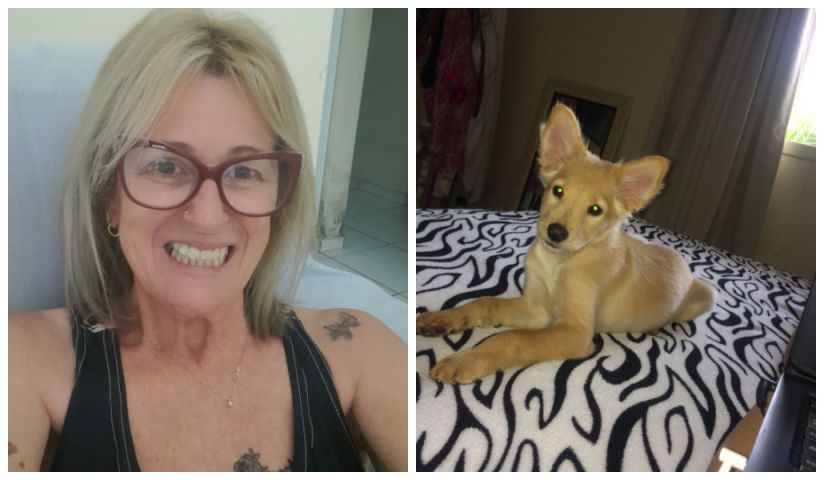 (Vídeo) Urgente: cuidadora de Tubarão é internada em estado grave na UTI e 10 cães precisam de novo lar