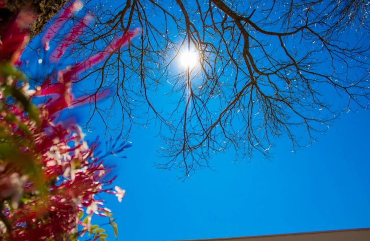 Sol e calorão de quase 40°C marcam o domingo em SC