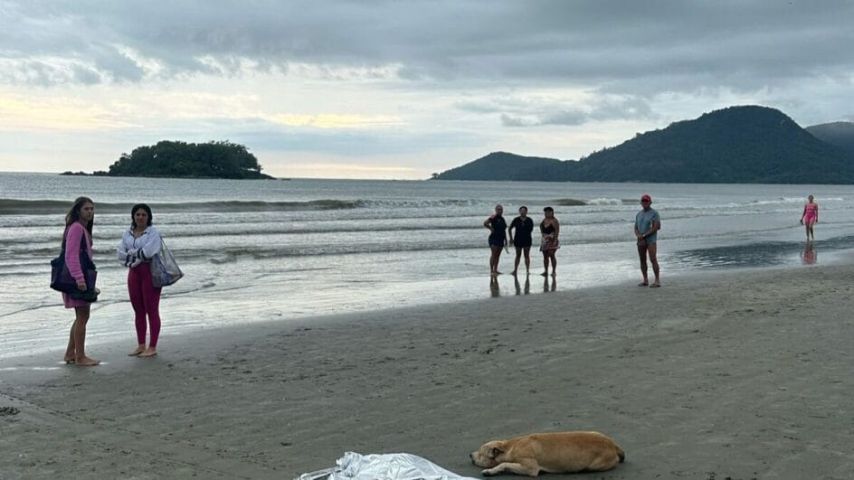 Cachorro fica ao lado do corpo do dono morto afogado em praia de Balneário Camboriú