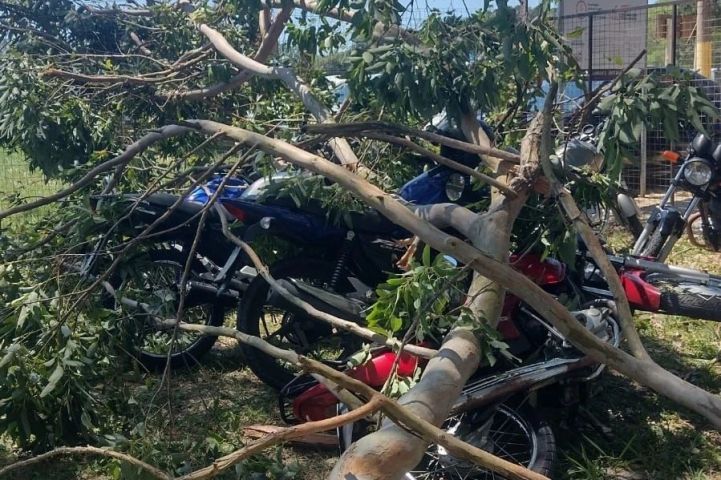 Jovem fica ferido após ser atingido por galho de árvore em Jaguaruna