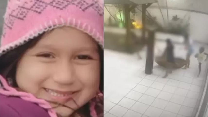 Brasil: menina de 7 anos morre atingida por pilastra de balanço em condomínio no RJ