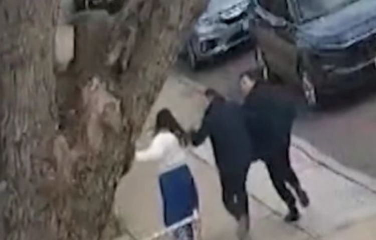 Mundo: árvore cai e por pouco não atinge pedestres em Nova York