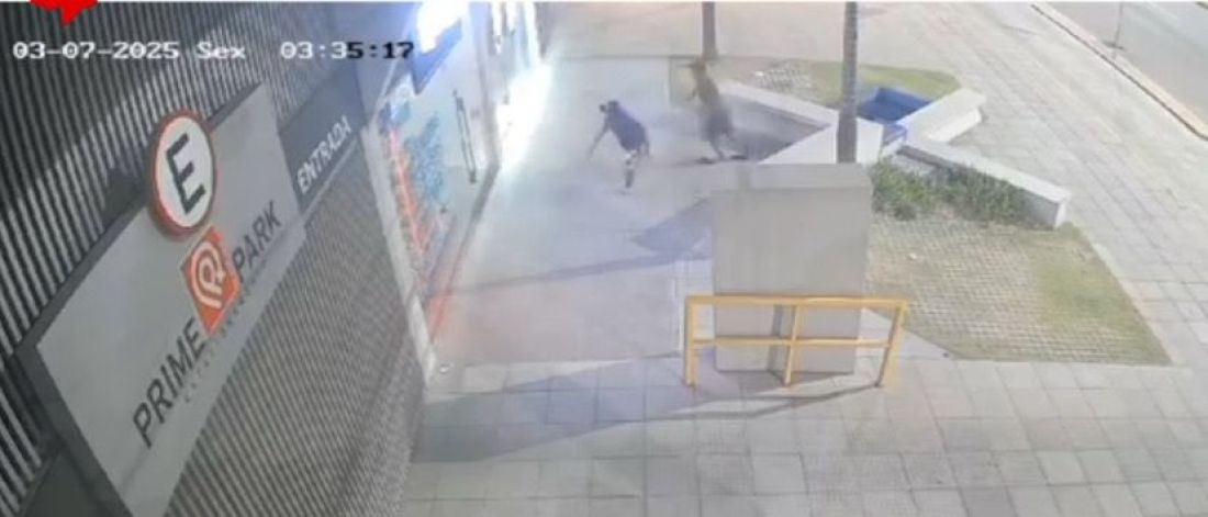 (Vídeo) Meliantes com tornozeleira tentam atirar pedras e furtar loja no edifício do Prime Business Center, em Tubarão