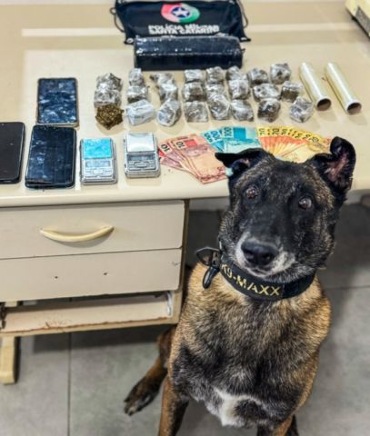 Polícia Militar prende quatro pessoas por tráfico de drogas no bairro Morrotes