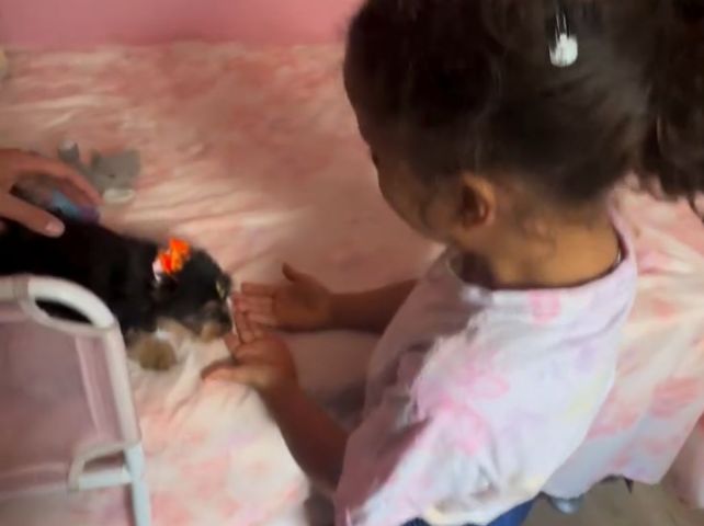 VÍDEO: menina se emociona ao ganhar cachorrinha de presente e vídeo viraliza