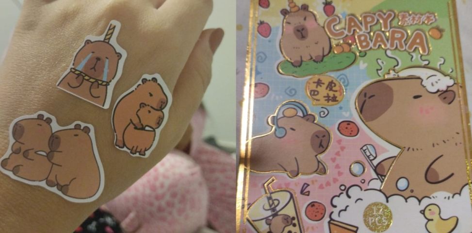 Alerta: família de Tubarão compra adesivos de capivara para criança de 11 anos e ao abrir a cartela encontra figuras de violência e suicídio